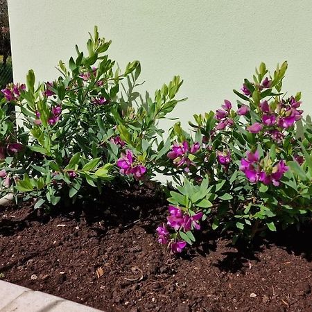 Apartament Casa Myrtifolia Todi Zewnętrze zdjęcie